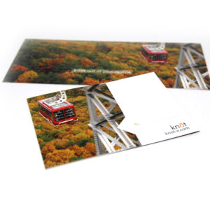 Knot Postcard: 3 Pack (Random)