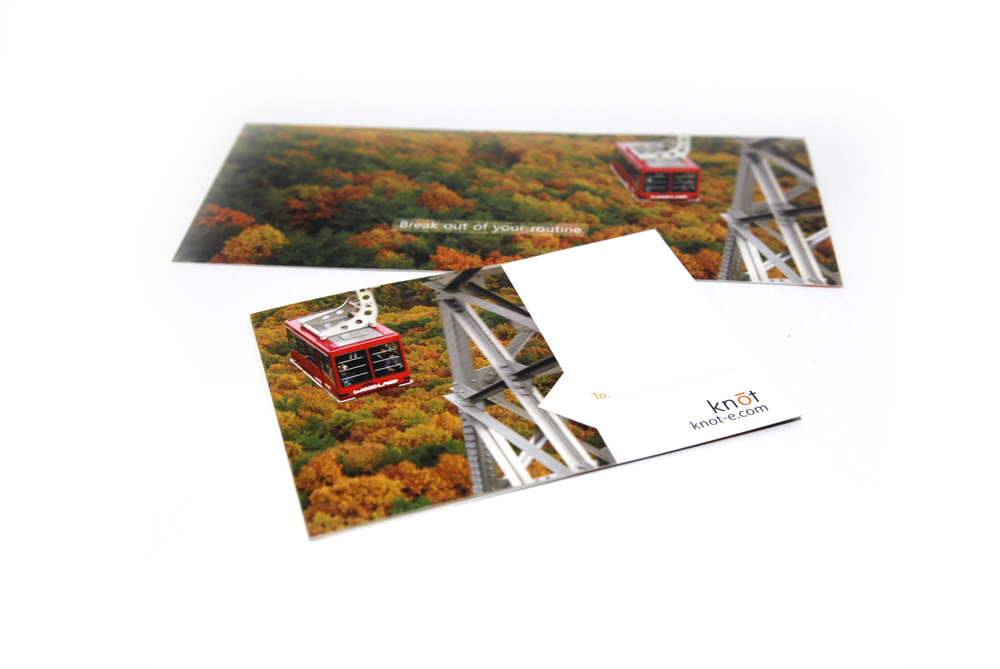 Knot Postcard: 5 Pack (Random)