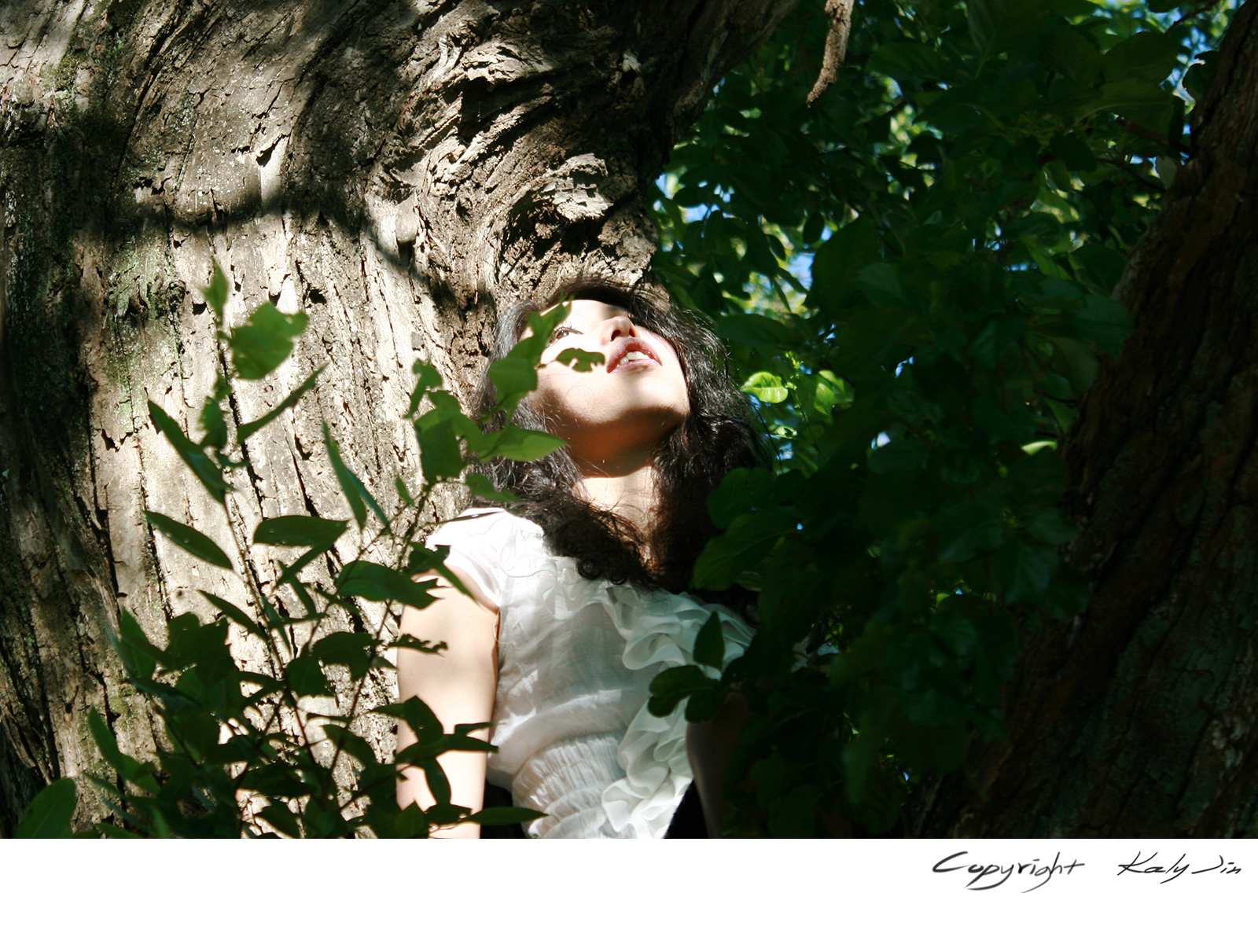 Portrait Session